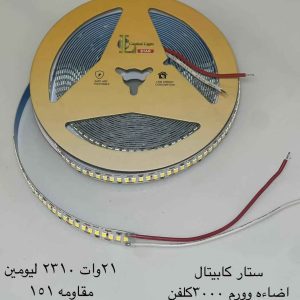 ستار كابيتال اضاءة وورم ٣٠٠٠ كلفن ٢٤٠ لمبة في المتر
