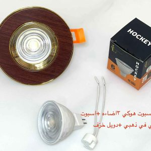 شاسيه اسبوت خشبي x ذهبي + دويل خزف + لمبة اسبوت هوكي 3 إضاءة