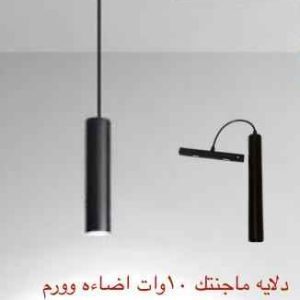 دلاية ماجنتيك 10 وات إضاءة وورم