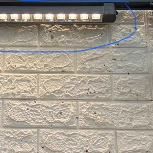 بديل ماجنتك ٢٤وات ٥٠ سم اضاءه وورم شفاف