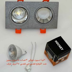 شاسيه اسبوت مجوز ضد التوهج فضي x فضي + 2 دويل خزف + 2 لمبة كاس هوكي 3 إضاءة