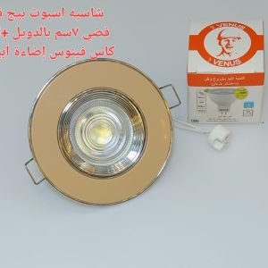 شاسيه اسبوت بيج فى فضى 7 سم بالدويل+ لمبه كأس فينوس اضاءة ابيض