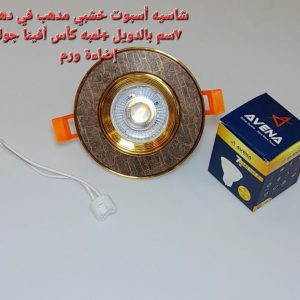 شاسيه اسبوت خشبى مدهب في دهبي 7 سم بالدويل+ لمبه افينا جولد اضاءة وورم