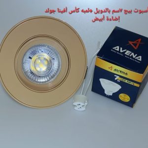 شاسيه اسبوت بيج 7سم بالدويل+ لمبه كأس افينا جولد إضاءة ابيض